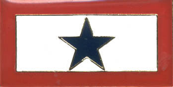 pin 4899 blue star banner